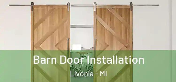 Barn Door Installation Livonia - MI