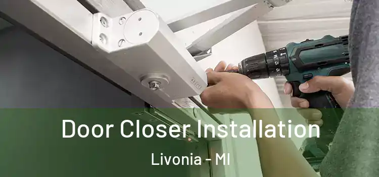 Door Closer Installation Livonia - MI