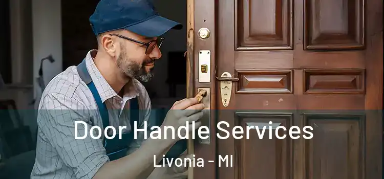  Door Handle Services Livonia - MI