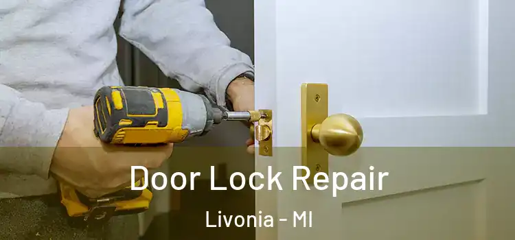 Door Lock Repair Livonia - MI