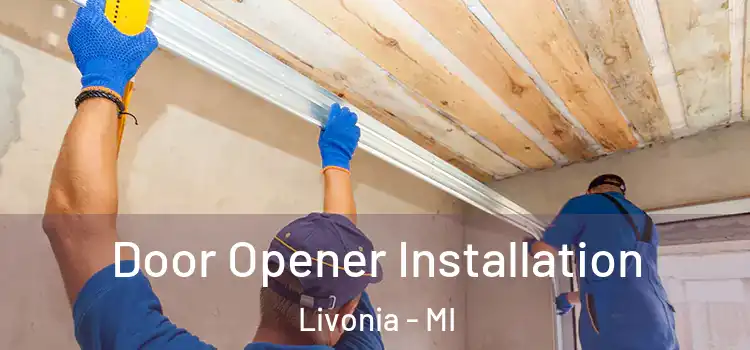Door Opener Installation Livonia - MI