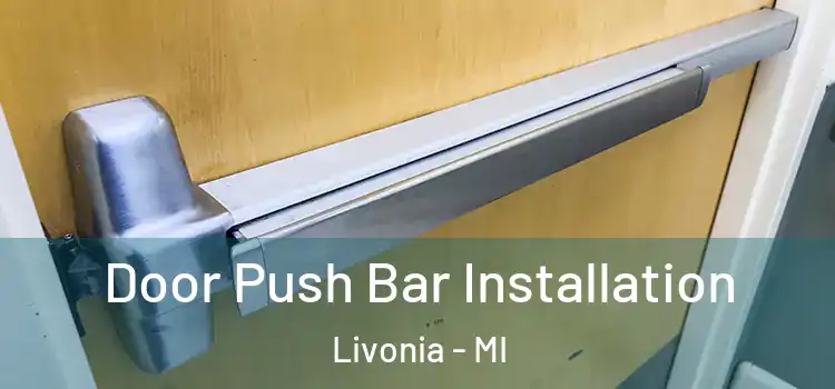 Door Push Bar Installation Livonia - MI