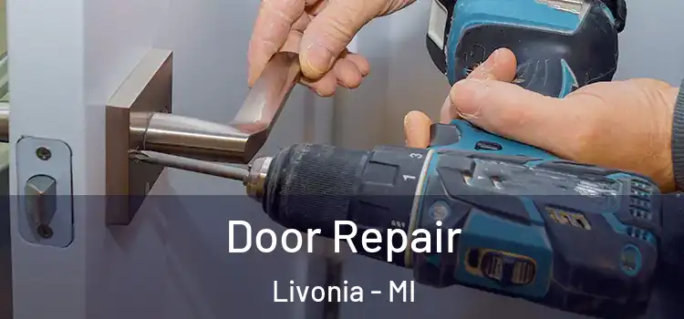 Door Repair Livonia - MI