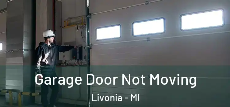  Garage Door Not Moving Livonia - MI