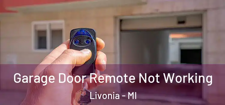  Garage Door Remote Not Working Livonia - MI