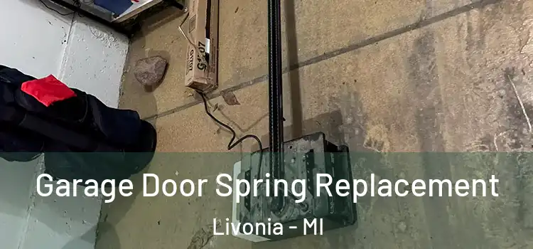 Garage Door Spring Replacement Livonia - MI