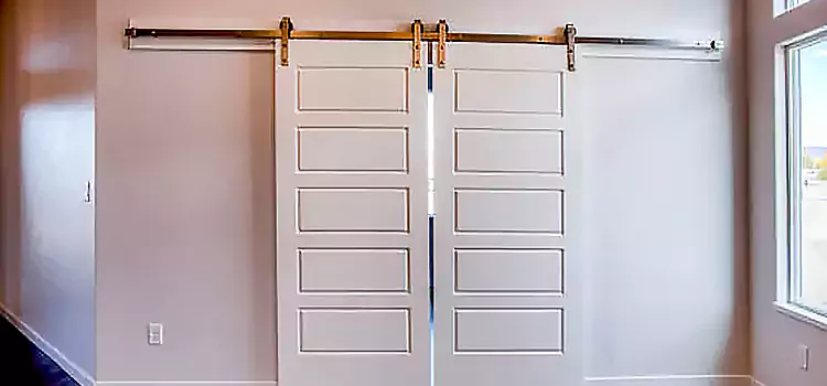 Glass Barn Door with Installation Hardware Kit Livonia