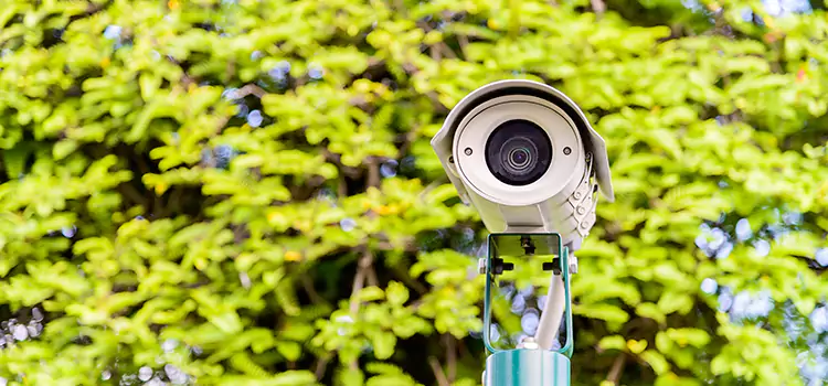 Advanced Surveillance Solutions for Every Need in Livonia