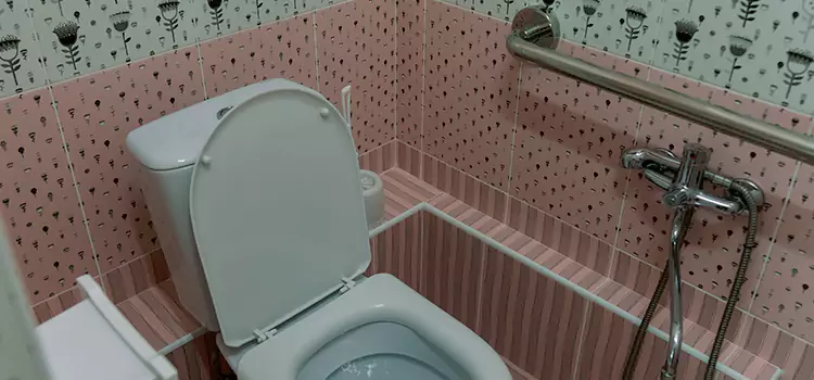 Meeting Diverse Needs With Accessible Restroom Solutions in Livonia, MI