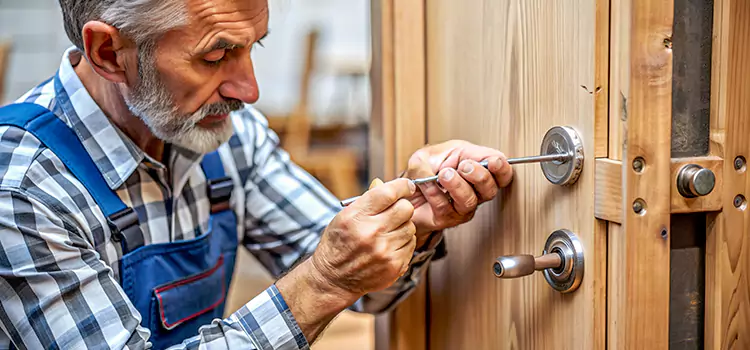 Mortise Replacement Lock Livonia