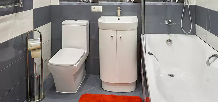Hansgrohe Shaving Mirror Livonia