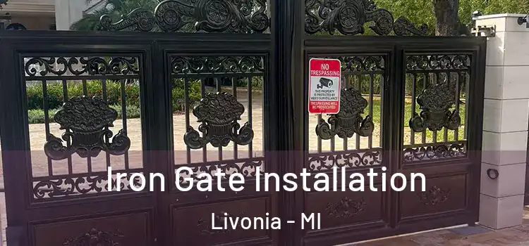 Iron Gate Installation Livonia - MI
