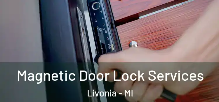 Magnetic Door Lock Services Livonia - MI
