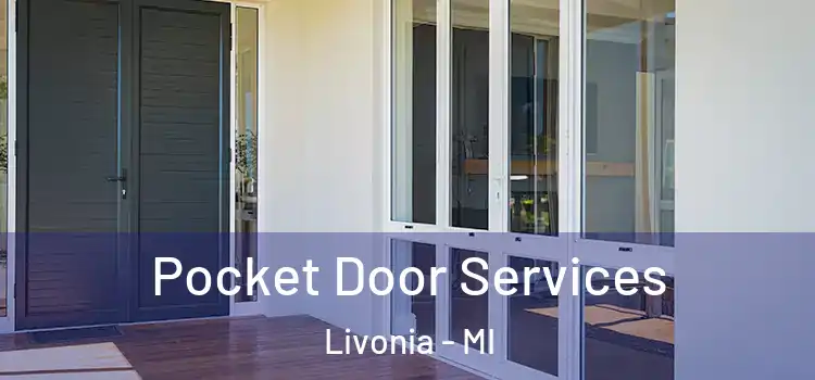 Pocket Door Services Livonia - MI
