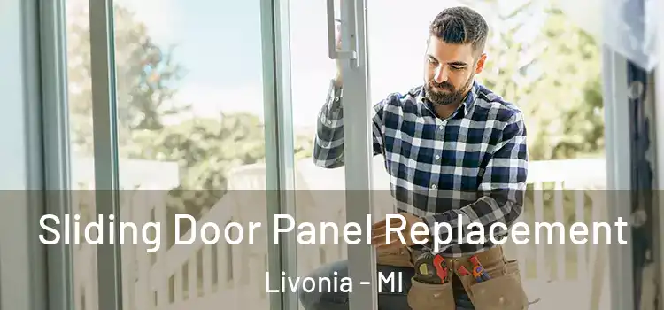  Sliding Door Panel Replacement Livonia - MI